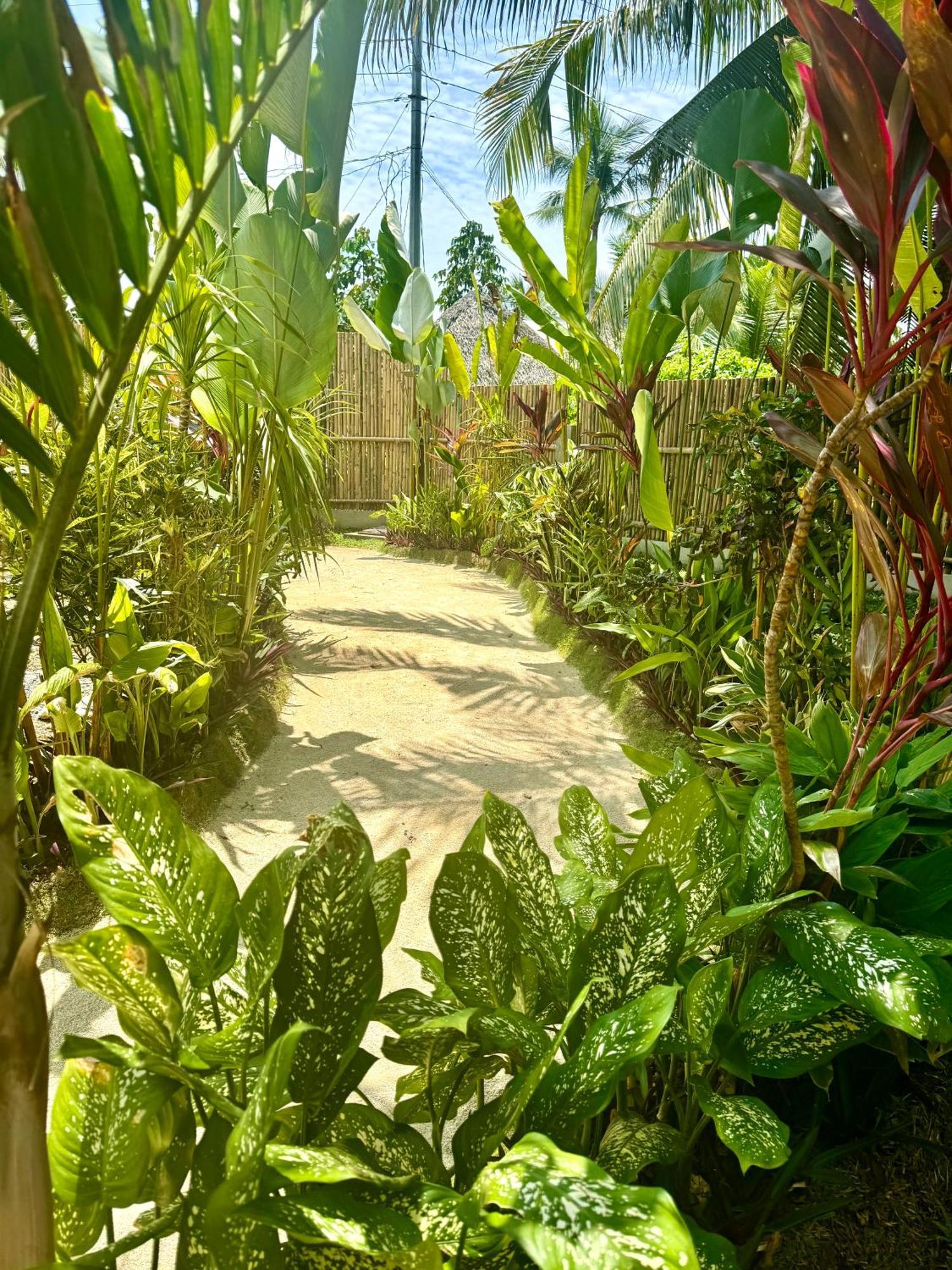 Villa Pura Vida Apartments Siargao General Luna  Kültér fotó